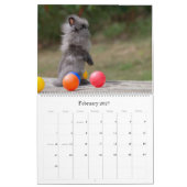 Grote wandkalender met konijnen kalender (Feb 2027)