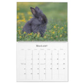 Grote wandkalender met konijnen kalender (Mar 2027)