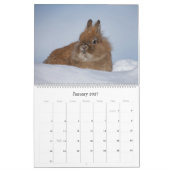 Grote wandkalender met konijnen kalender (Jan 2027)