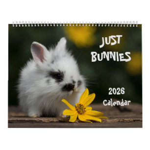 Grote wandkalender met konijnen kalender