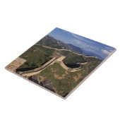 Grote wandwikkeling door de berg, tegeltje (Zijkant)