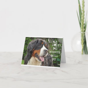 GROTE WENSEN OP UW **21E VERJAARDAG** KAART