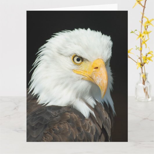Grote wenskaart - natuur vogel arend kaart (Gele Bloem)