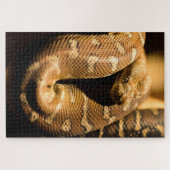 Grote wilde slang legpuzzel (Horizontaal)