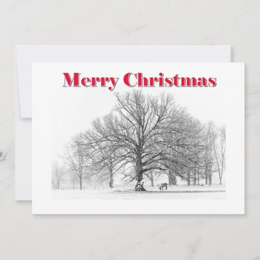 Grote Winter Scene Kerst Kaart Witte Boog (Flat) (Voorkant)