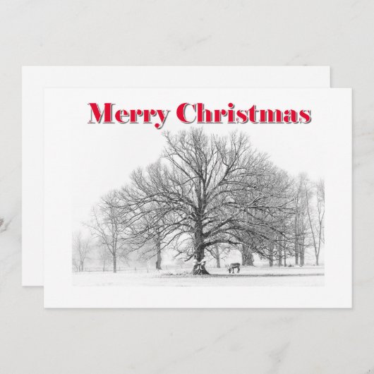 Grote Winter Scene Kerst Kaart Witte Boog (Flat) (Voorkant / Achterkant)