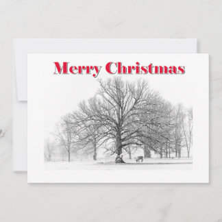 Grote Winter Scene Kerst Kaart Witte Boog (Flat)
