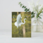 Grote witte grot briefkaart (Staand voorkant)