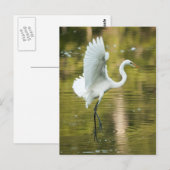 Grote witte grot briefkaart (Voorkant / Achterkant)