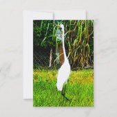 Grote witte grot kaart (Voorkant)