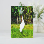 Grote witte grot kaart (Staand voorkant)