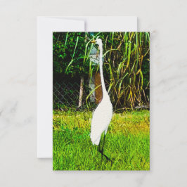 Grote witte grot kaart