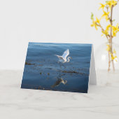 Grote witte grot loopt op water kaart (Gele Bloem)