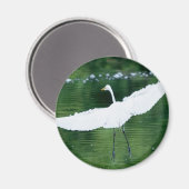 Grote witte grot magneet (Voorkant / Achterkant)