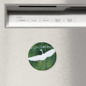 Grote witte grot magneet (Insitu (Vaatwasser))