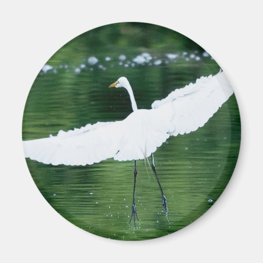 Grote witte grot magneet (Voorkant)