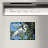 Grote witte grot magneet (Insitu (Vaatwasser))