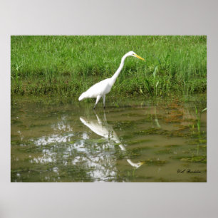 Grote witte grot poster