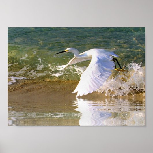 Grote witte grot poster (Voorkant)