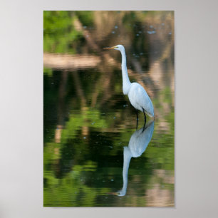 Grote witte grot poster