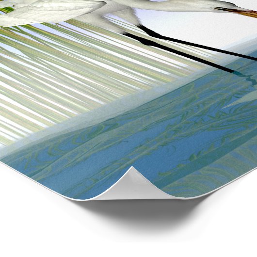 Grote witte groten poster (Hoek)