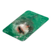 Grote witte haai1 magneet (Linkerzijde)