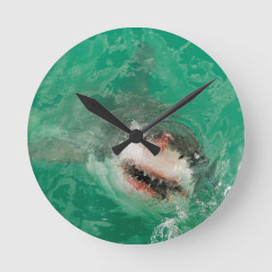 Grote witte haai1 ronde klok