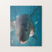 Grote witte haai, 252 stuks legpuzzel (Verticaal)