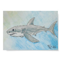 Grote witte haai aquarel