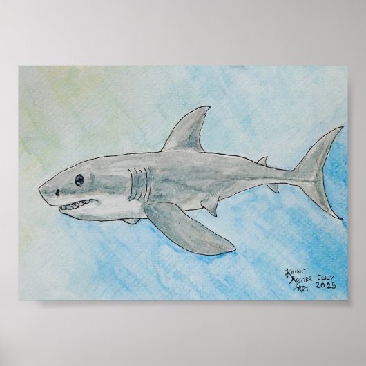 Grote witte haai aquarel poster (Voorkant)