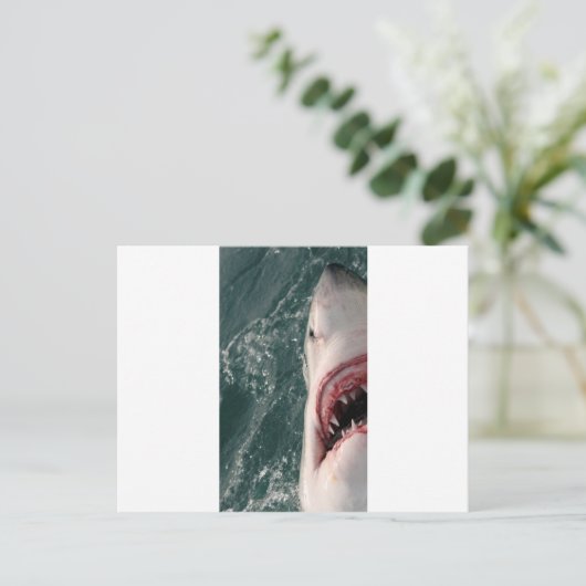 Grote witte haai briefkaart (Staand voorkant)