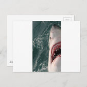 Grote witte haai briefkaart (Voorkant / Achterkant)