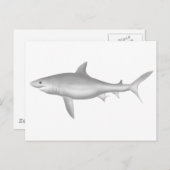 Grote witte haai briefkaart (Voorkant / Achterkant)