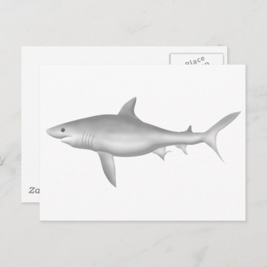 Grote witte haai briefkaart (Voorkant / Achterkant)