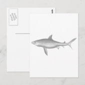Grote witte haai briefkaart (Voorkant / Achterkant)