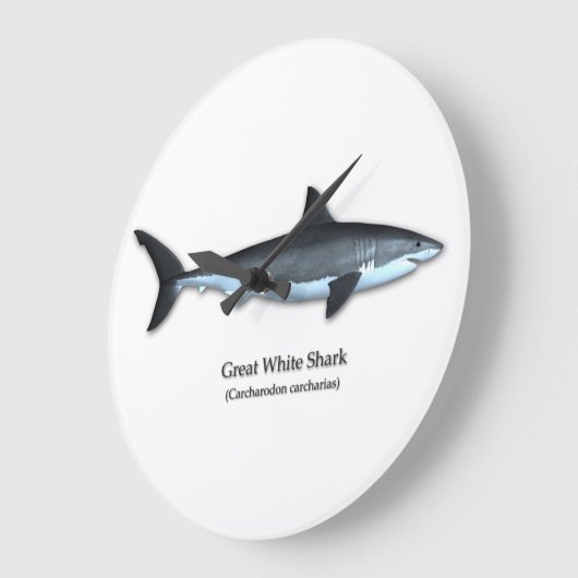 Grote witte haai grote klok (Hoek)
