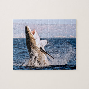 Grote witte haai, Jigzaag Puzzle Legpuzzel
