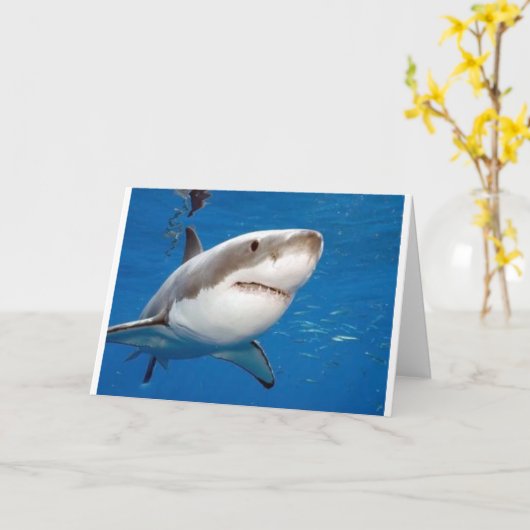 Grote Witte Haai Kaart (Gele Bloem)