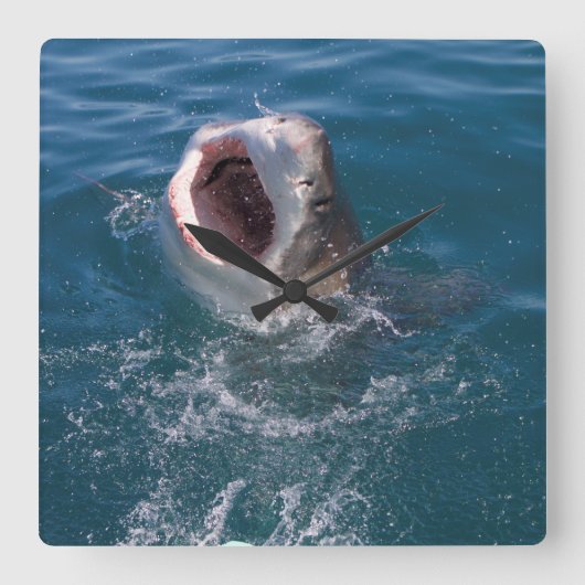 Grote witte haai klok (Voorkant)