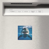 Grote witte haai magneet (Insitu (Vaatwasser))