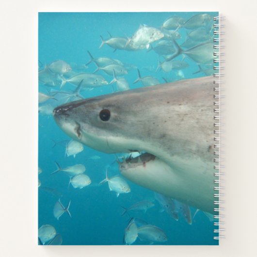 Grote witte haai onderwaterportret op maat gemaakt notitieboek (Achterkant)