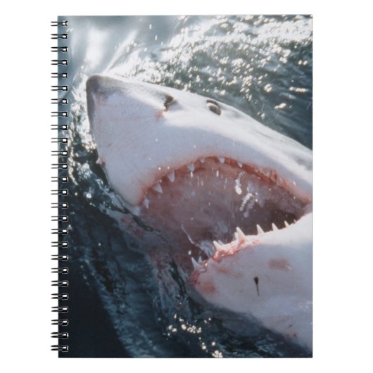 Grote witte haai op zee notitieboek (Voorkant)