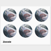 Grote witte haai op zee ronde sticker (Vel)