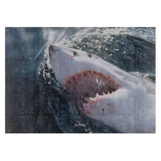 Grote witte haai op zee snijplank (Voorkant)