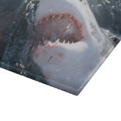 Grote witte haai op zee snijplank (Hoek)
