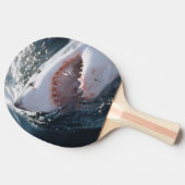 Grote witte haai op zee tafeltennisbatje (Zijkant)
