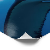 Grote witte haai perfect poster (Hoek)