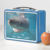 Grote witte haai Sluiten Ocean Australië (In situ)