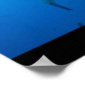 Grote witte haai Surf Swim Gray Poster (Hoek)
