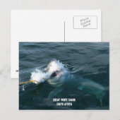 Grote witte haai - Zuid-Afrika Briefkaart (Voorkant / Achterkant)